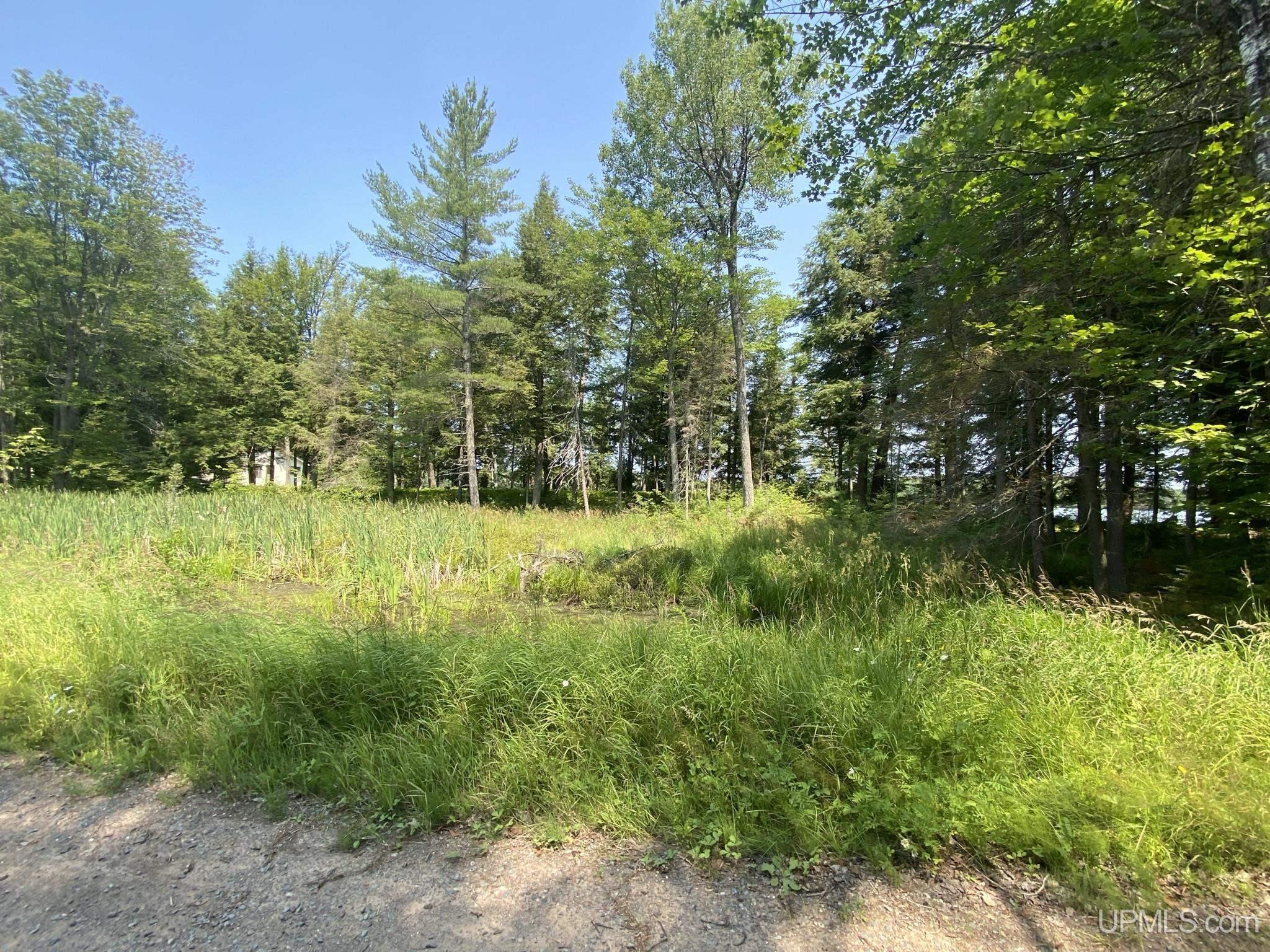Tbd Tbd En-a-wen-da-win Road Watersmeet, MI 49969 - Photo 9 of 35