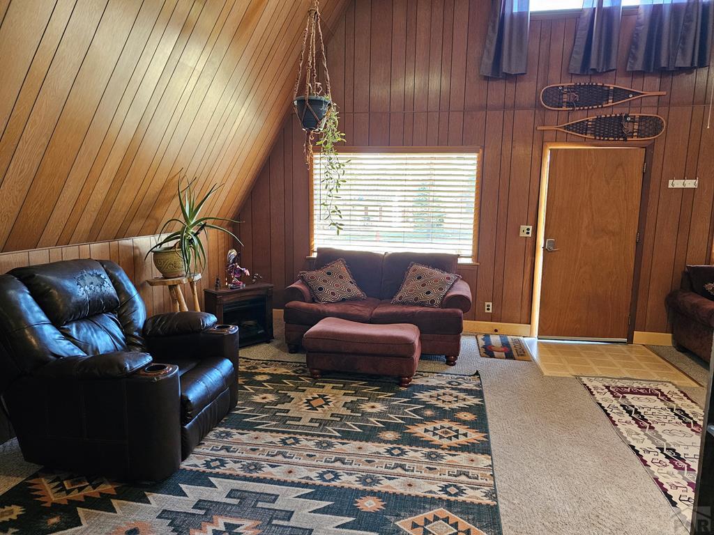2121 Main Street Rye, CO 81069 - Photo 8 of 19