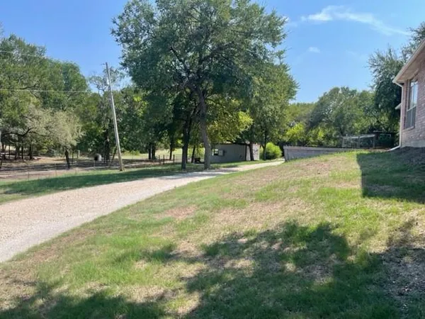 a view of a trees in a park
