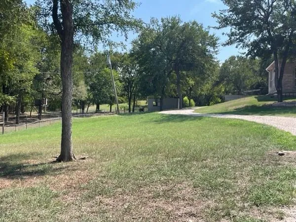 a view of a park with large trees
