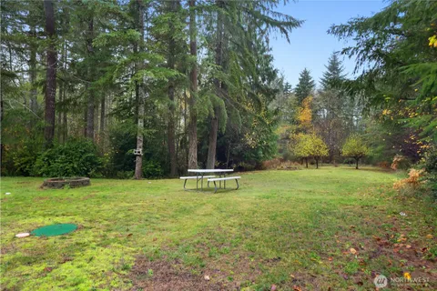 a view of a lake in middle of forest