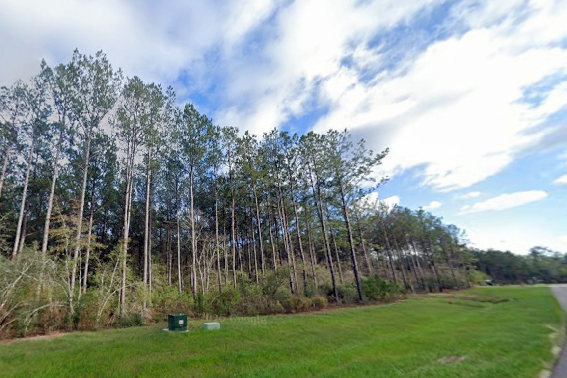 16010 Forest Mill Road Willis, TX 77378 - Photo 3 of 17 a view of outdoor space with garden and trees