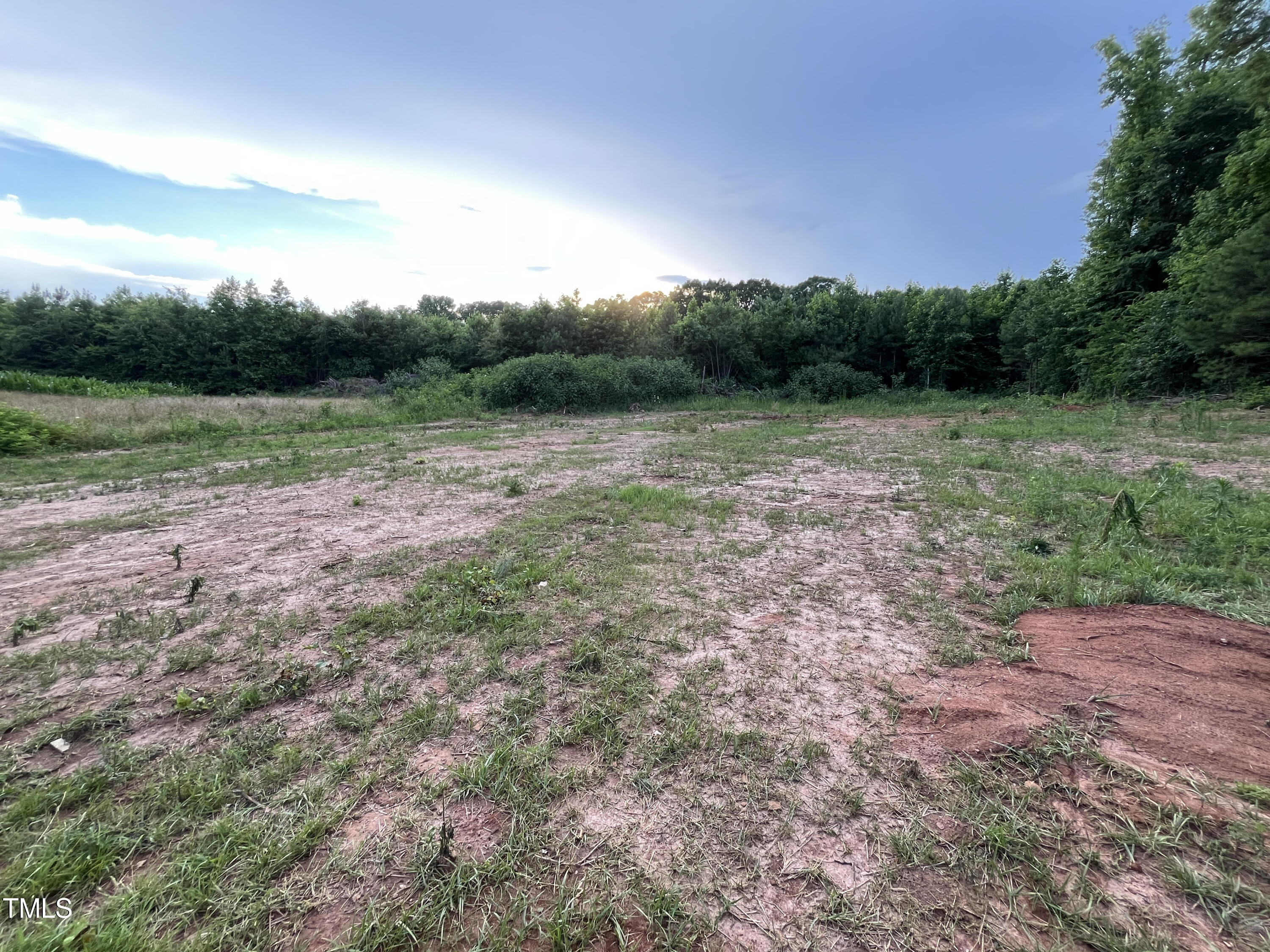 184 Charlie Morgan Road Louisburg, NC 27549 - Photo 15 of 16 Backyard
