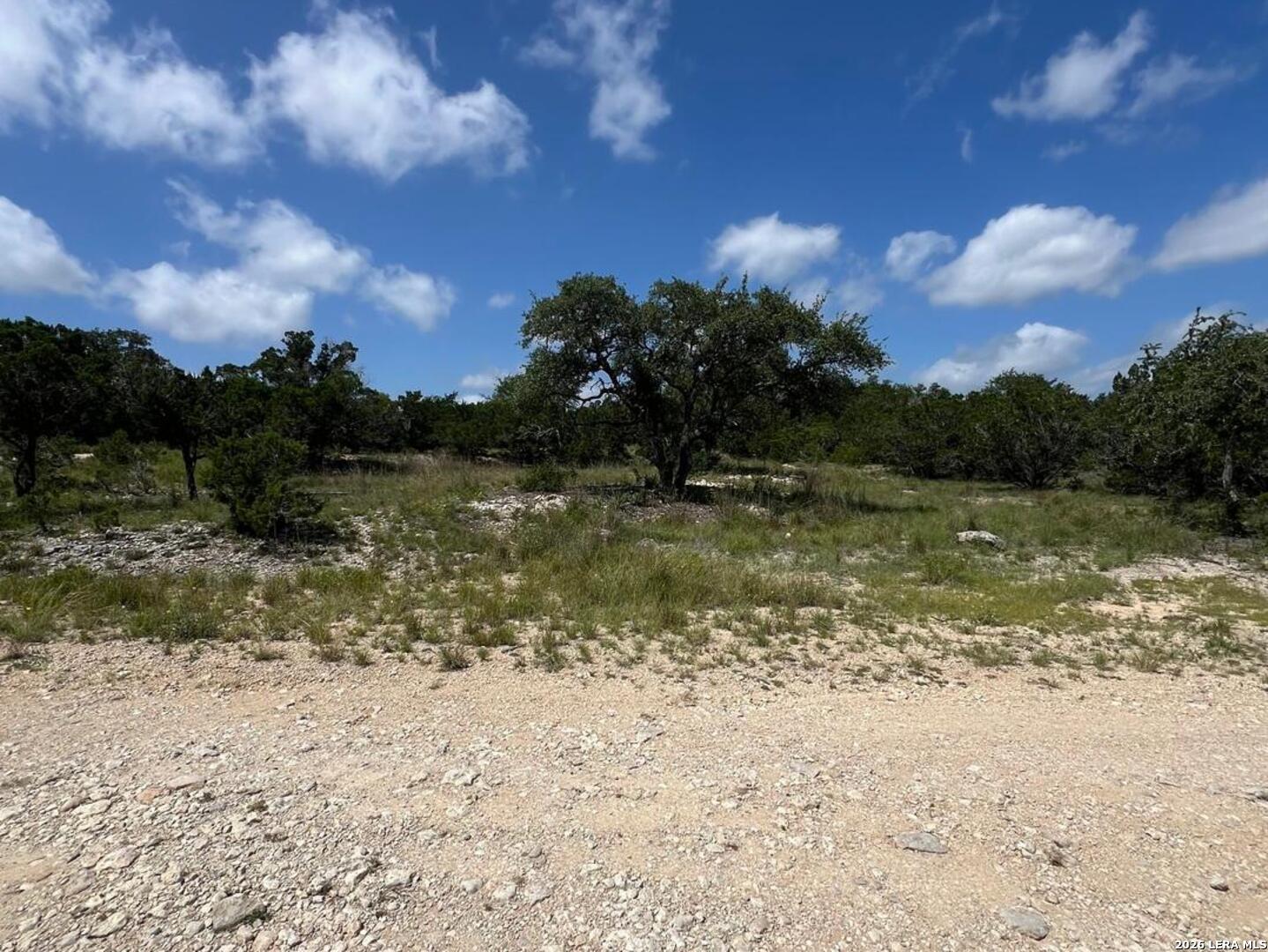 1188 Cliff Drive Spring Branch, TX 78070 - Photo 3 of 11