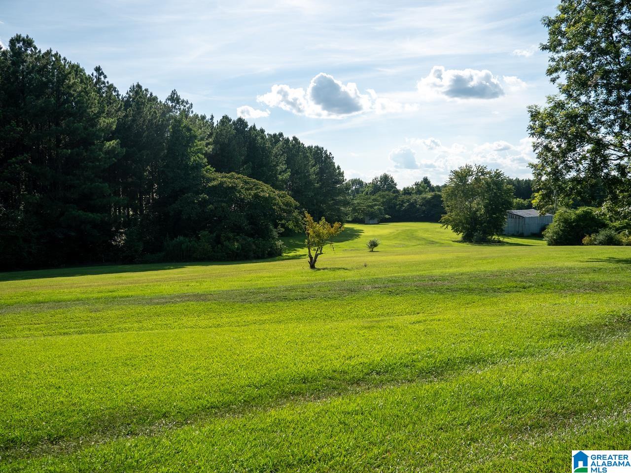 5015 Highway 24 Springville Al Springville, AL 35146 - Photo 37 of 44