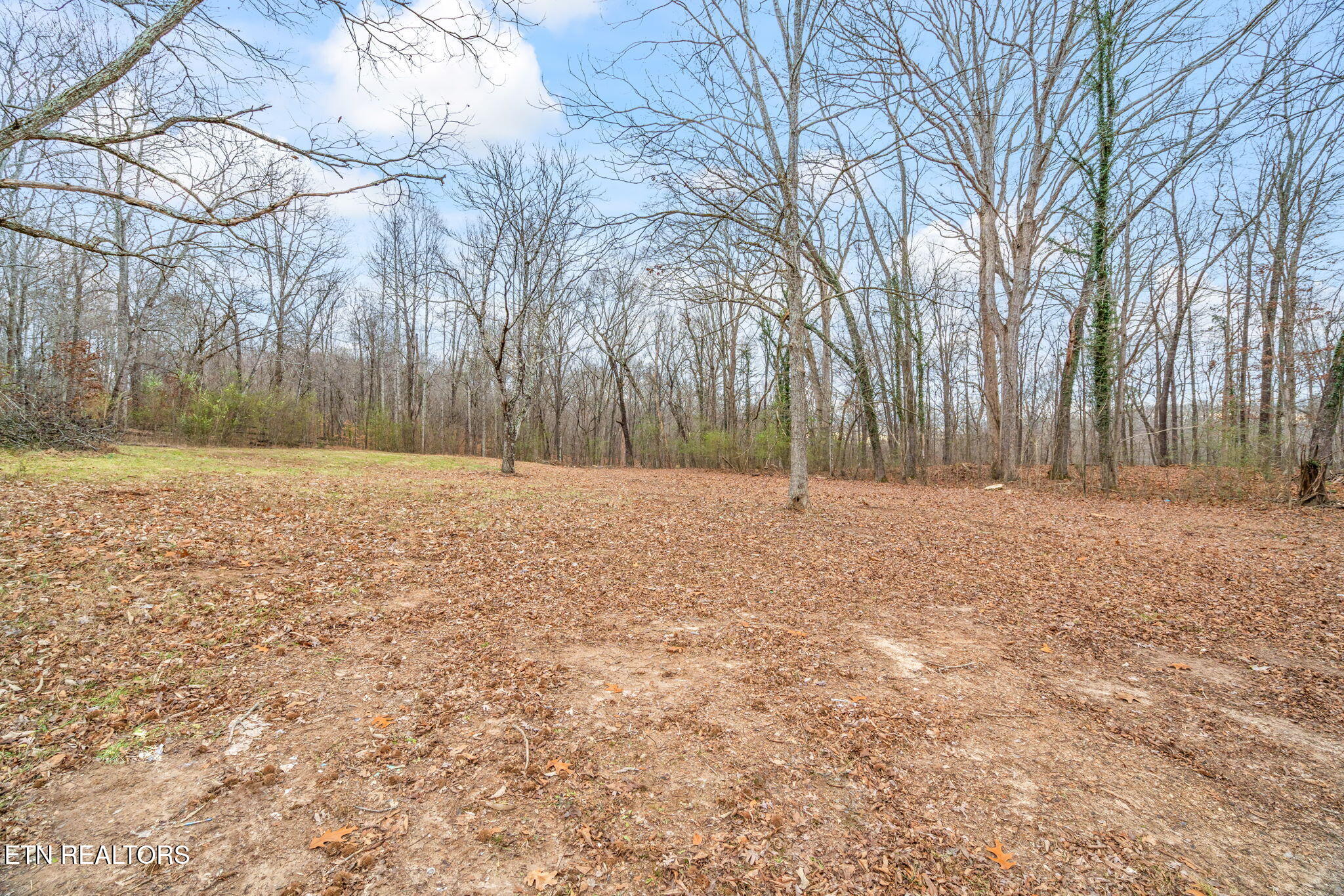 147 Casey Road Harriman, TN 37748 - Photo 34 of 36 39-web-or-mls-147 Casey Road-40