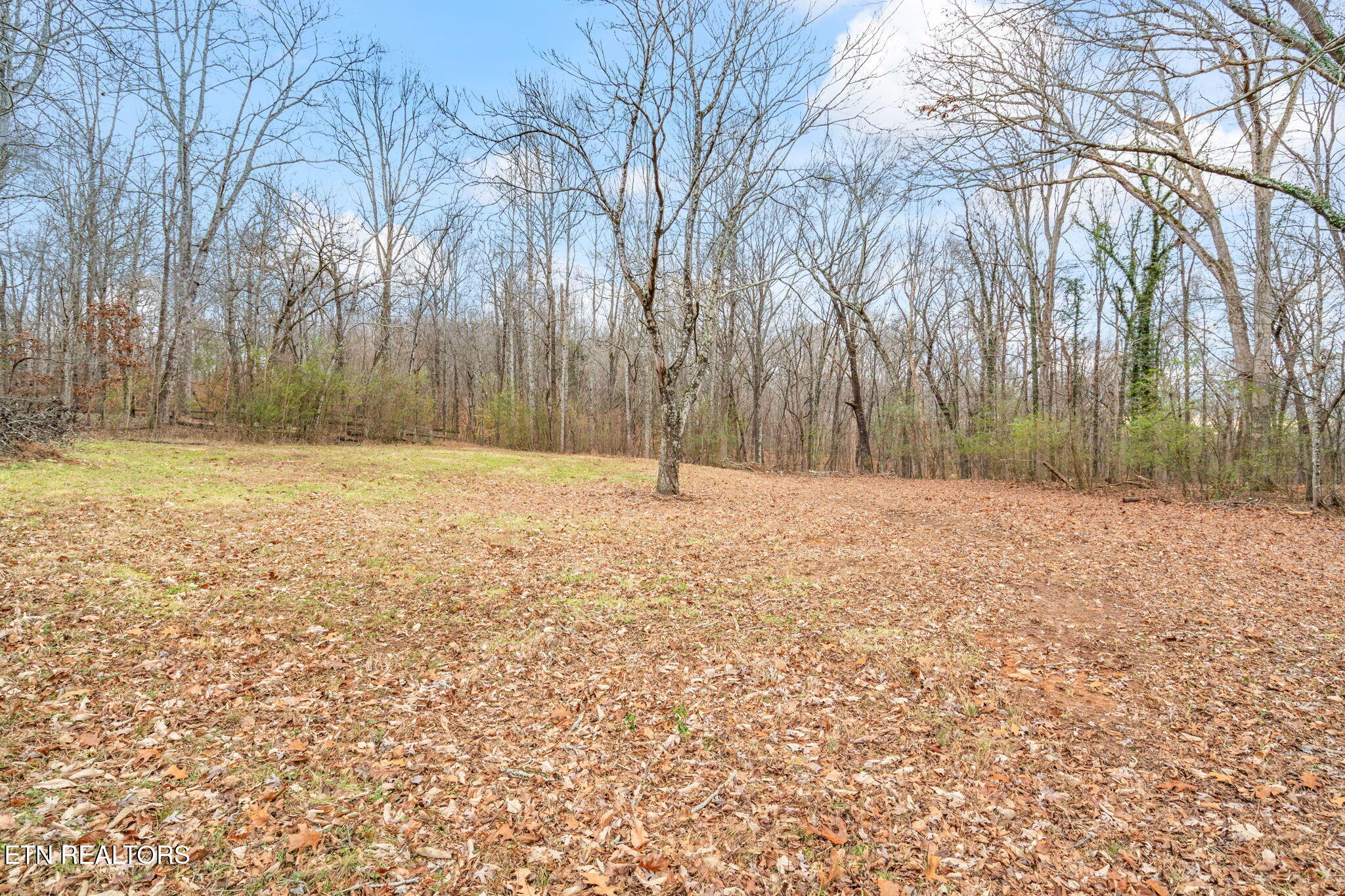 147 Casey Road Harriman, TN 37748 - Photo 35 of 36 40-web-or-mls-147 Casey Road-41