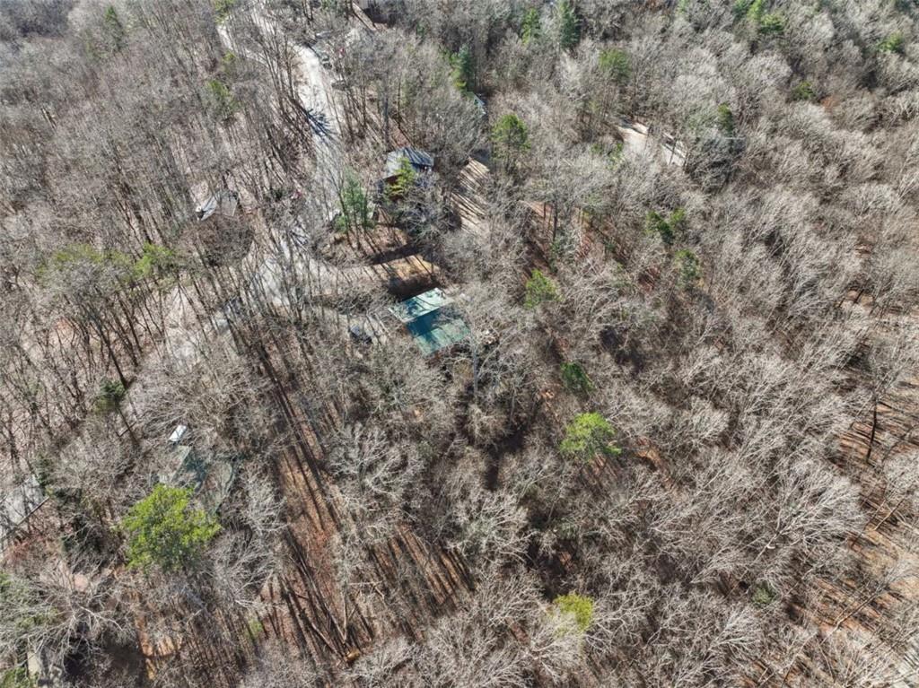 421 Cherokee Court Ellijay, GA 30540 - Photo 39 of 62