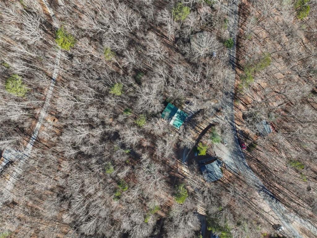 421 Cherokee Court Ellijay, GA 30540 - Photo 41 of 62