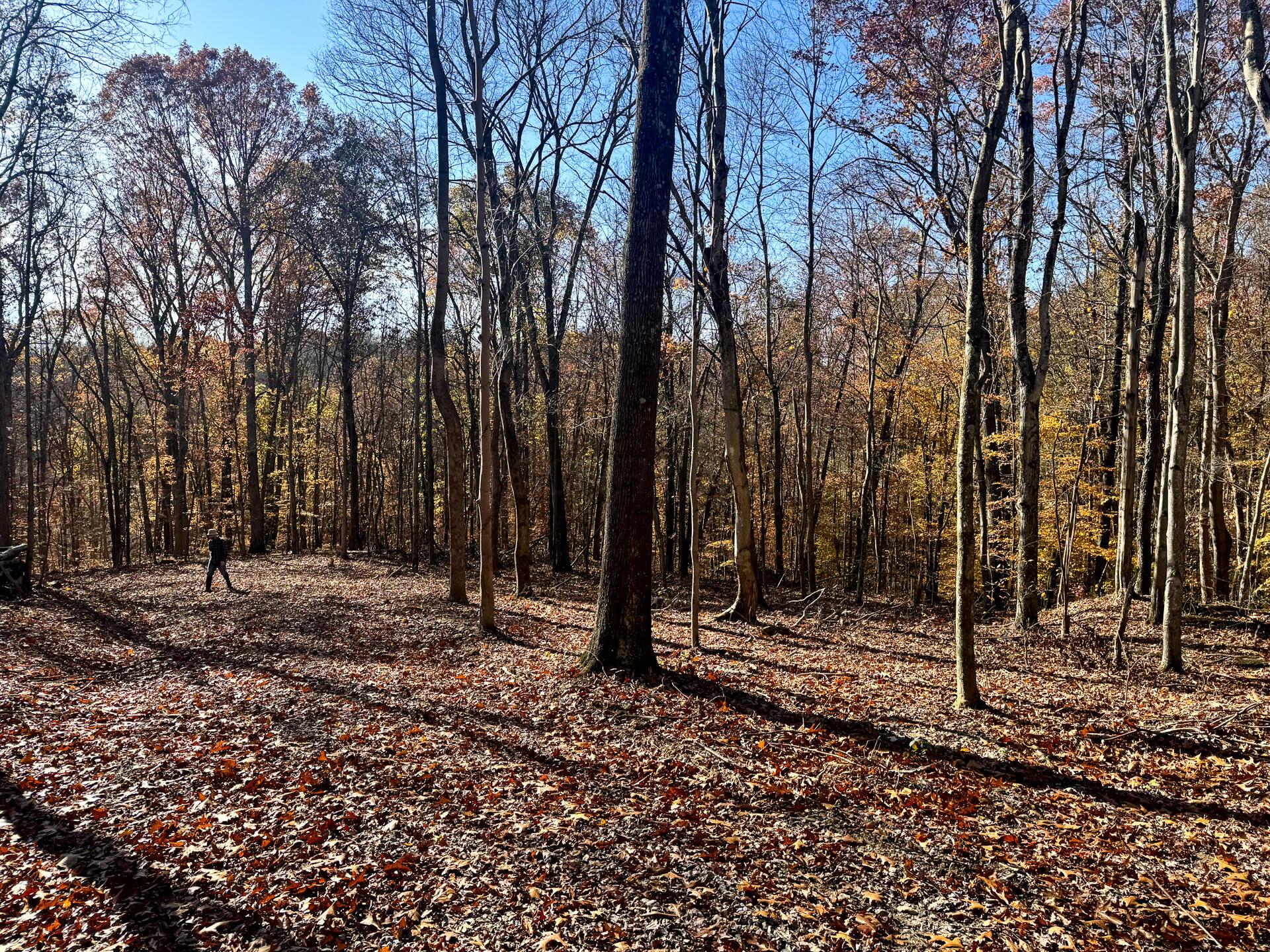 680 Nibert Road, Unit PONDS POPLAR RIDGE TRACT 10) Gallipolis, OH 45631 - Photo 27 of 46 CT-27