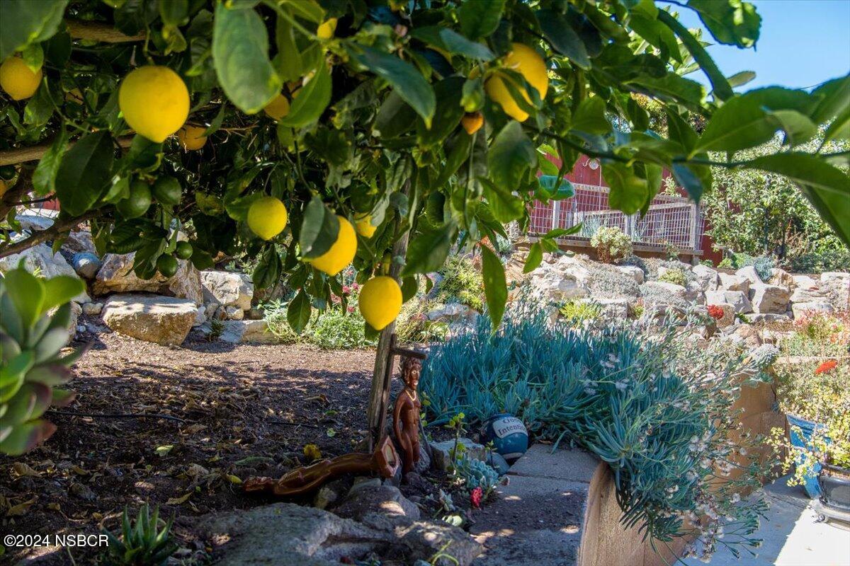 313 Somerset Place Lompoc, CA 93436 - Photo 38 of 59 33-MAX_0297