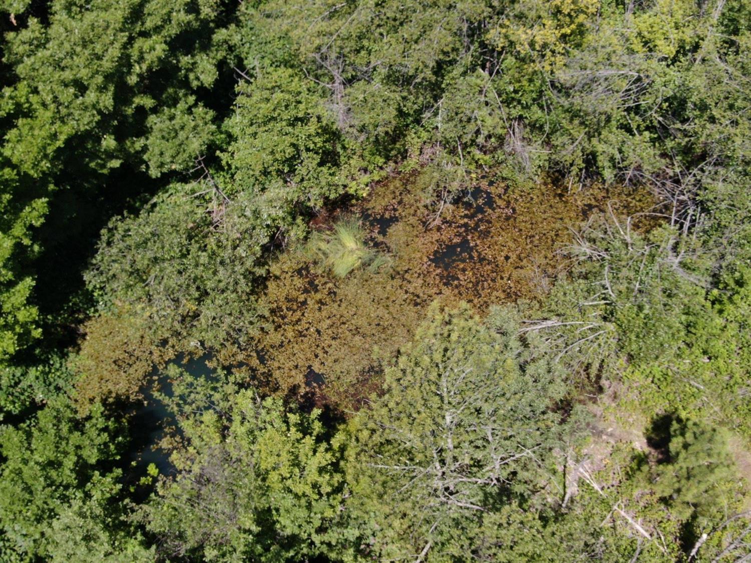 680 Hays Cut Off Road Cave Junction, OR 97523 - Photo 5 of 28 This is a photo of the large sump pond f