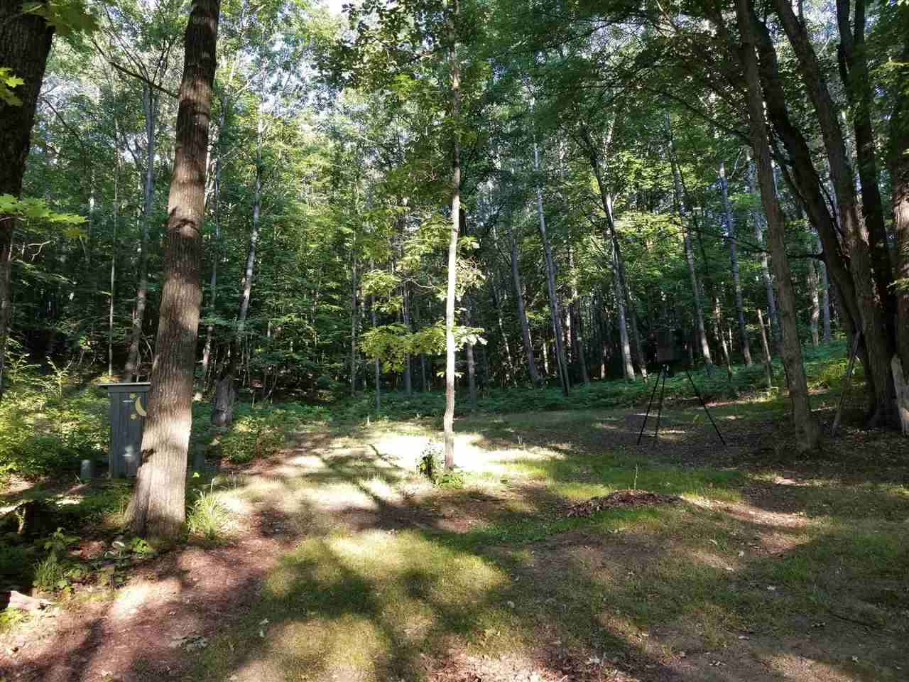 1545 No 45 Road Manton, MI 49663 - Photo 14 of 18 1845501-13.JPG