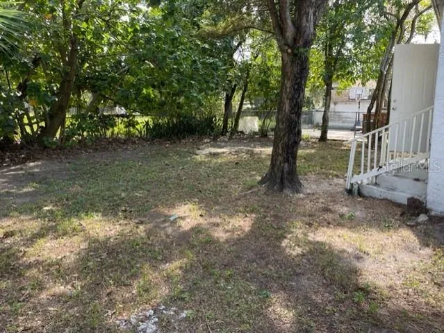 a view of a forest with trees in the background