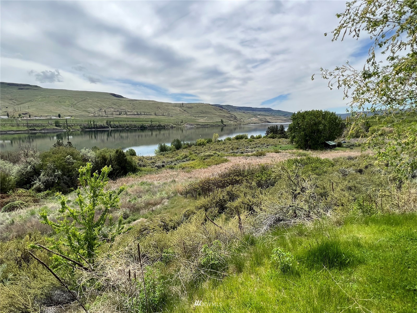 474 Jack Wells Road Bridgeport, WA 98813 - Photo 8 of 16 Gallery Image 8