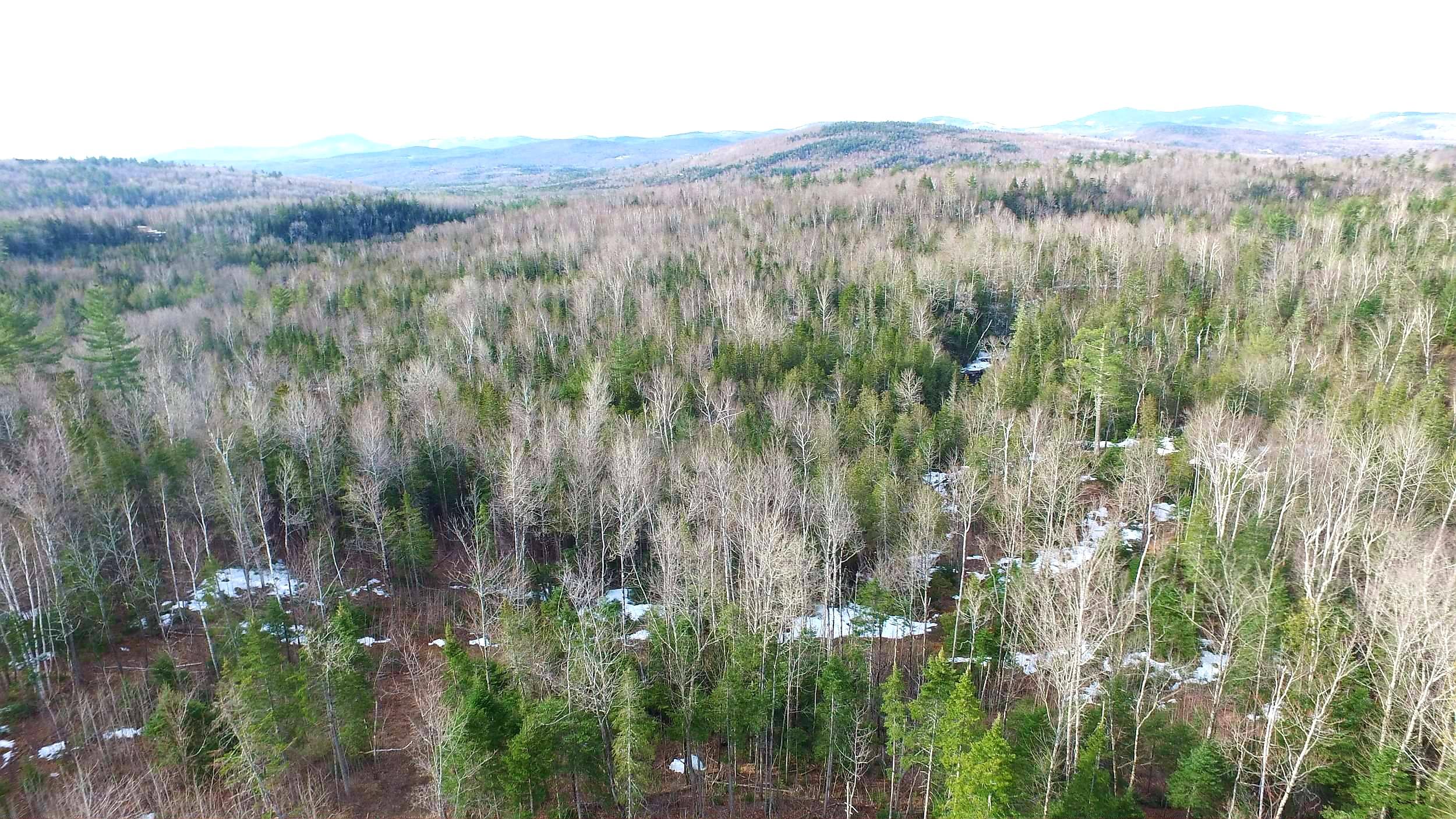 Tbd Reed's Mill Road Madrid Township, ME 04966 - Photo 22 of 22 20200427_123624