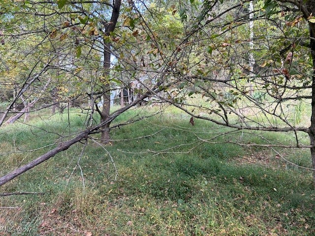 1990 Meathouse Fork Road Ravenswood, WV 26164 - Photo 6 of 14