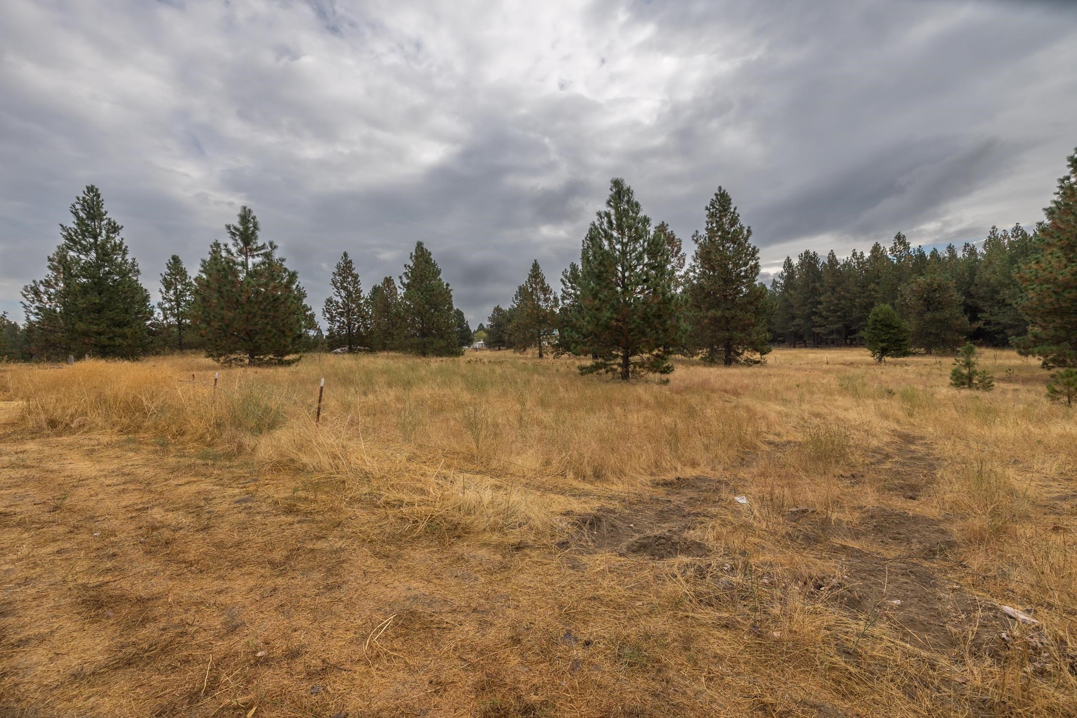 11102 East Laurel Road Elk, WA 99009 - Photo 33 of 38