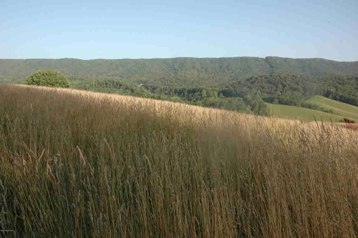 Lot J Springdale Road Pearisburg, VA 24134 - Photo 5 of 51 Gallery Image 5