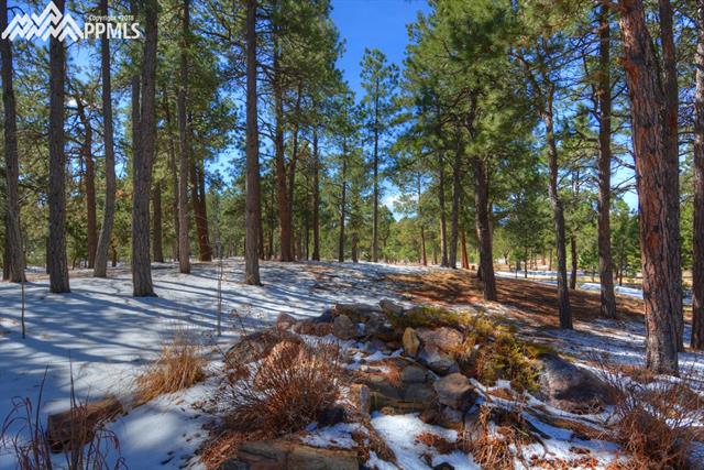 5265 Hidden Rock Road Colorado Springs, CO 80908 - Photo 32 of 36 Gallery Image 32