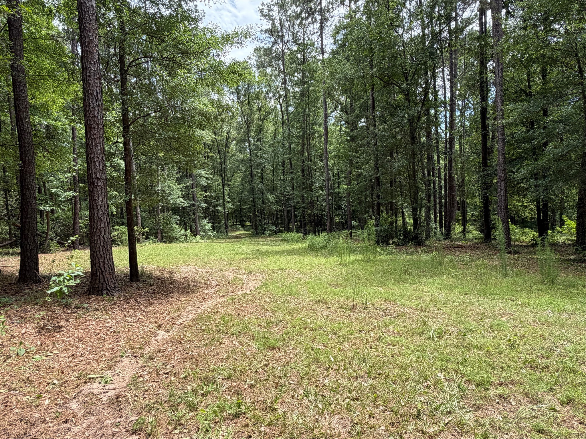 43 Stewart Road New Waverly, TX 77358 - Photo 15 of 21