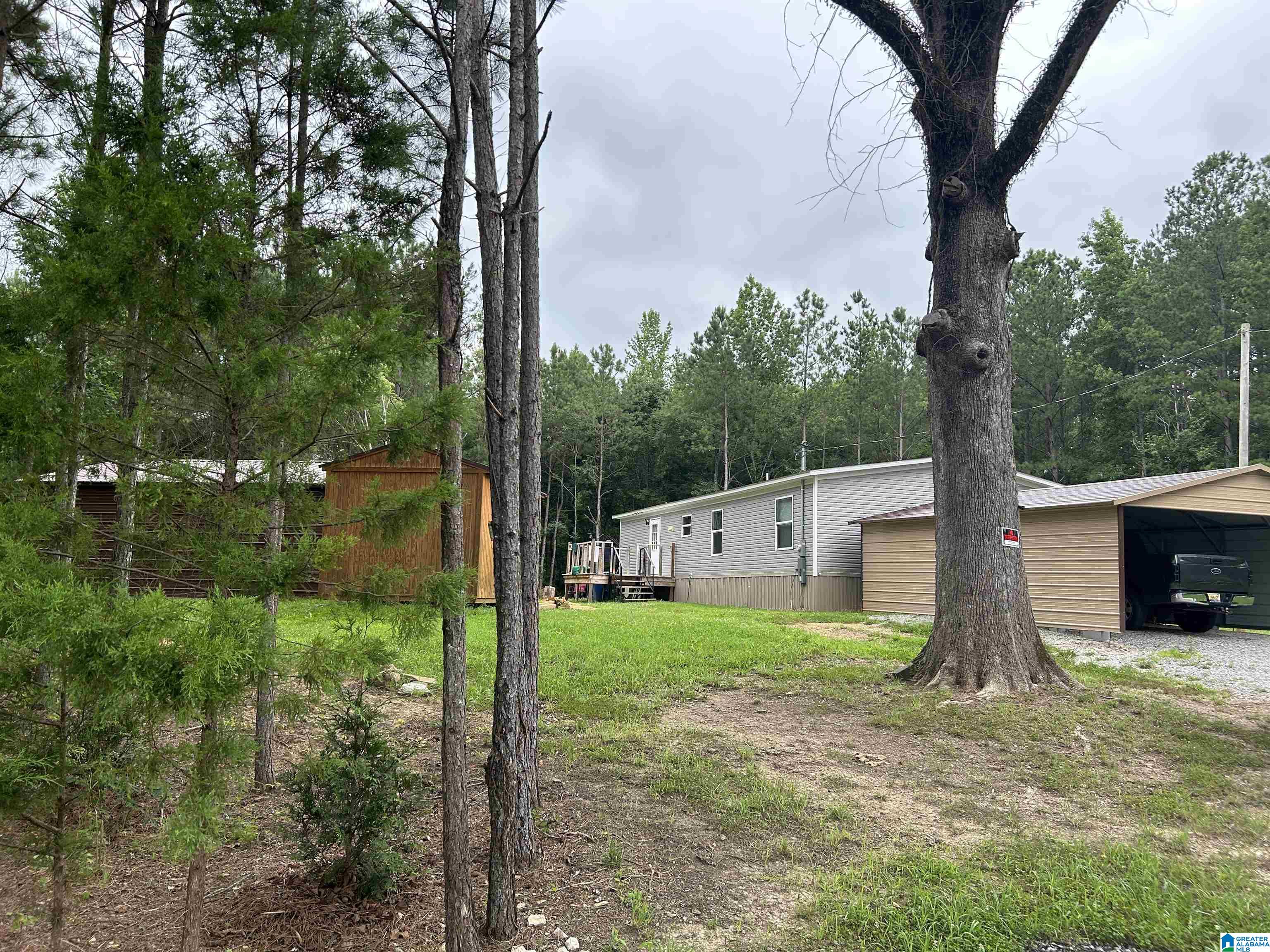 3553 New Liberty Road Wellington, AL 36279 - Photo 2 of 13