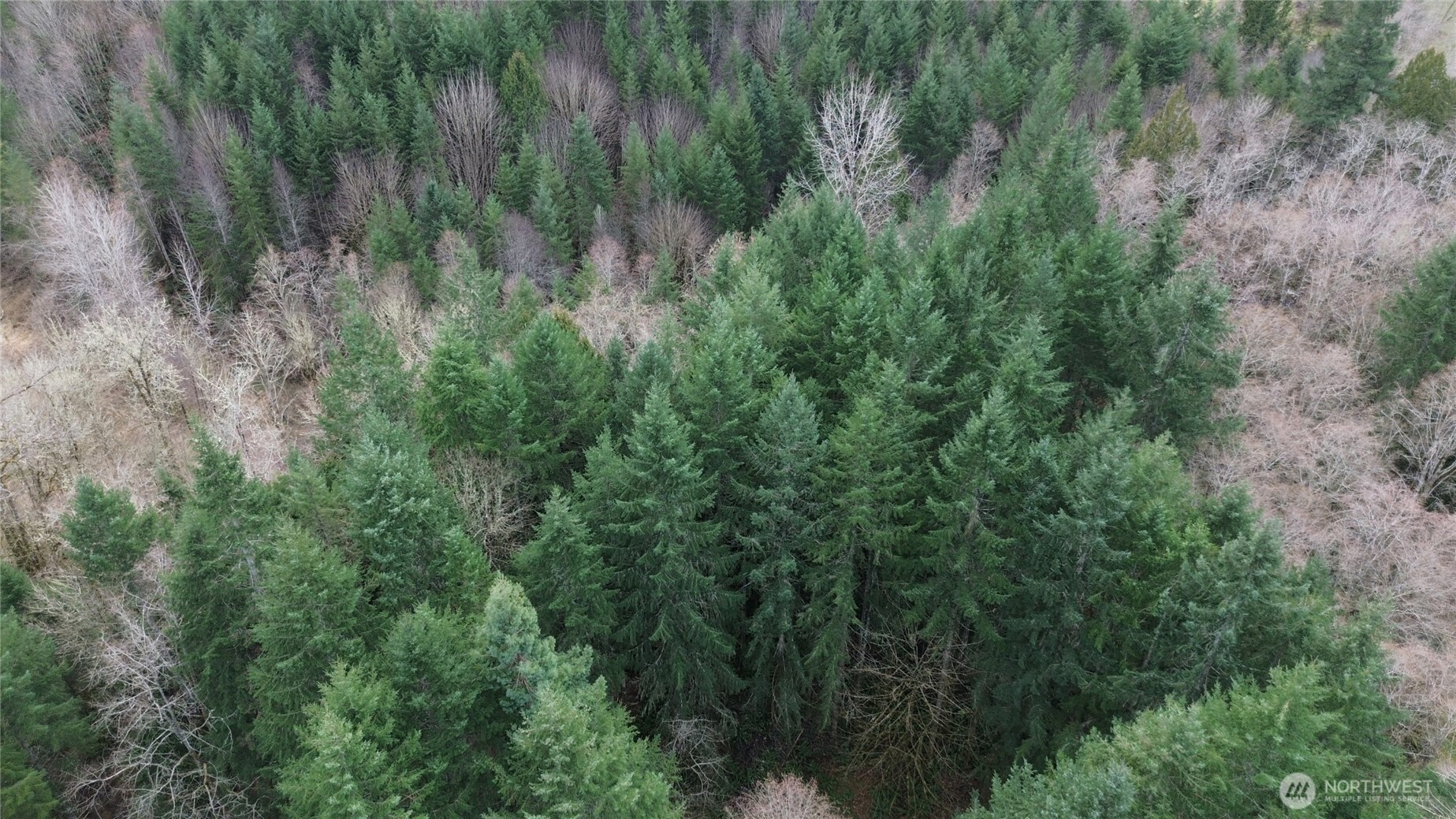 3017 Graf Road Centralia, WA 98531 - Photo 20 of 39 Gallery Image 20
