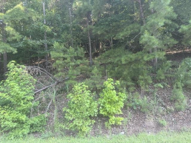 5 Carroll Hollow Road Waynesboro, TN 38485 - Photo 11 of 23