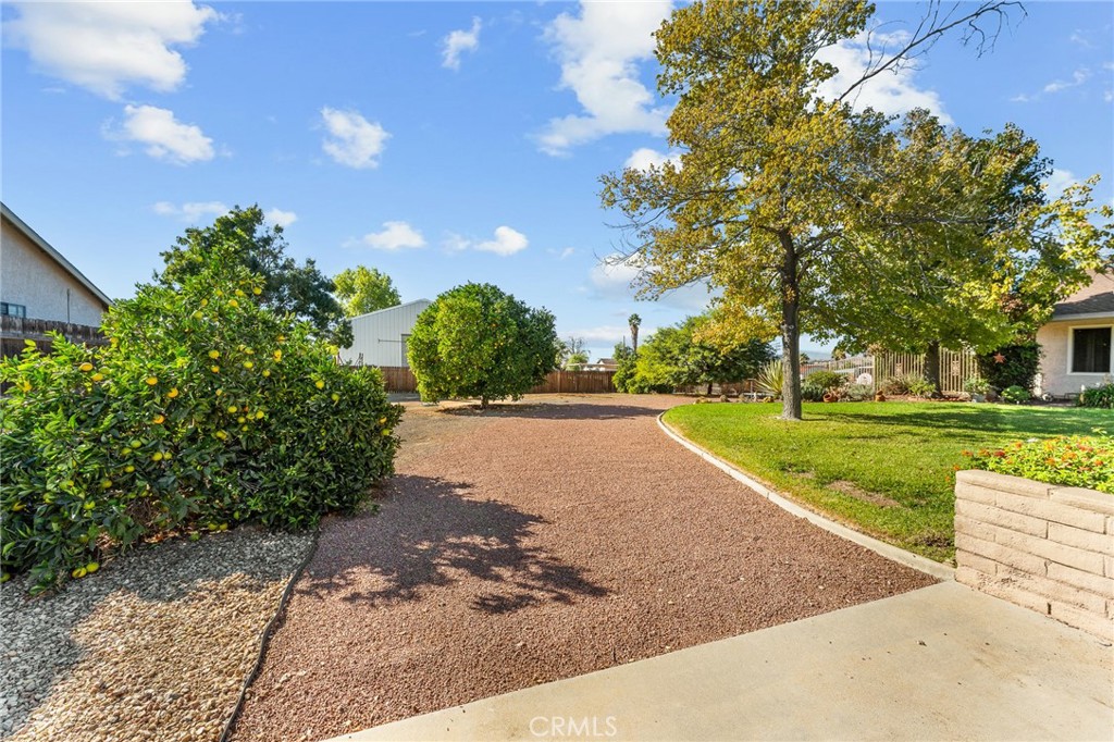 13346 Rimview Court Yucaipa, CA 92399 - Photo 7 of 60 a view of outdoor space with garden