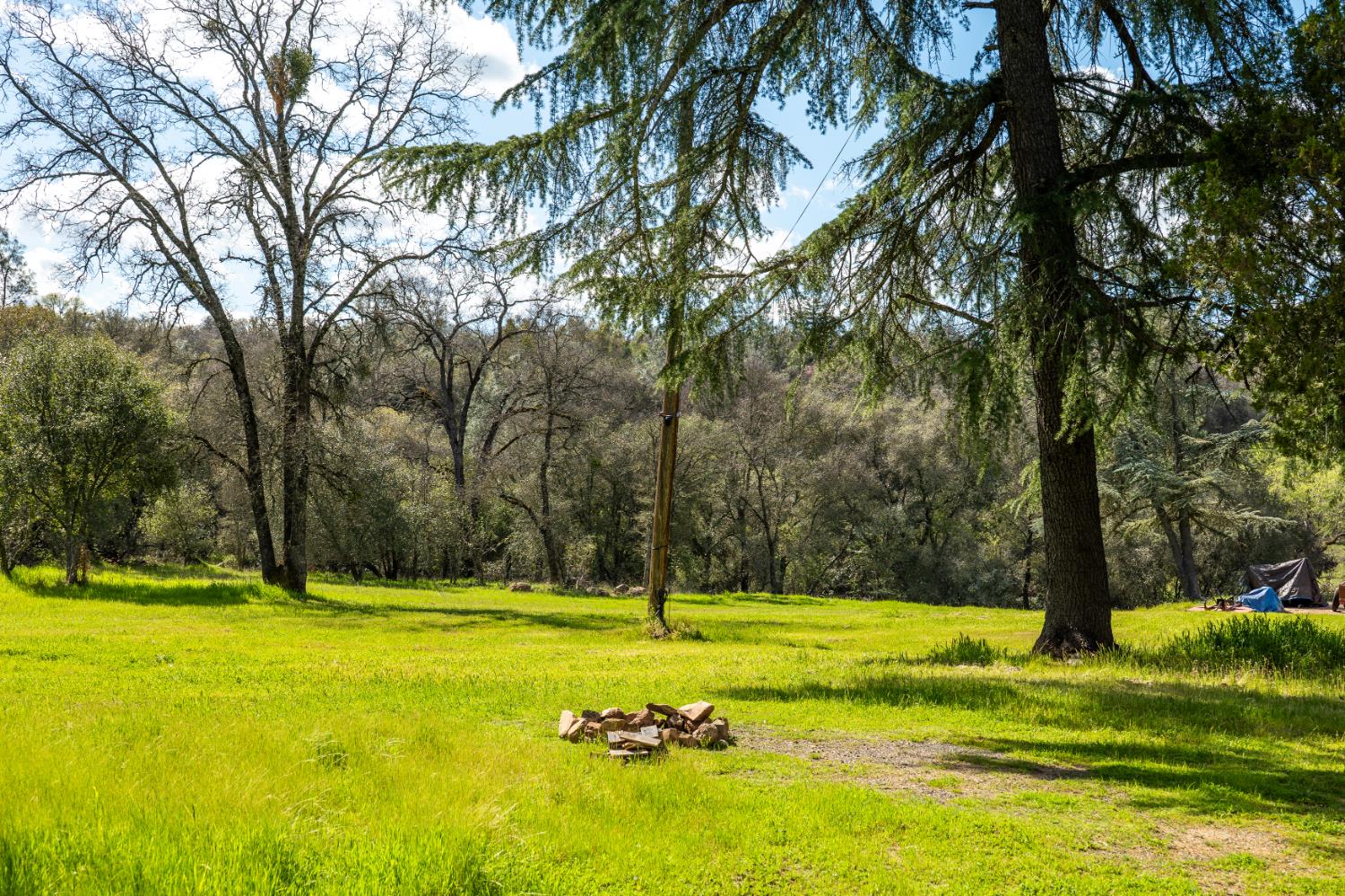 10925 Joeger Road Auburn, CA 95602 - Photo 5 of 24 a view of swimming pool with lawn chairs and large trees