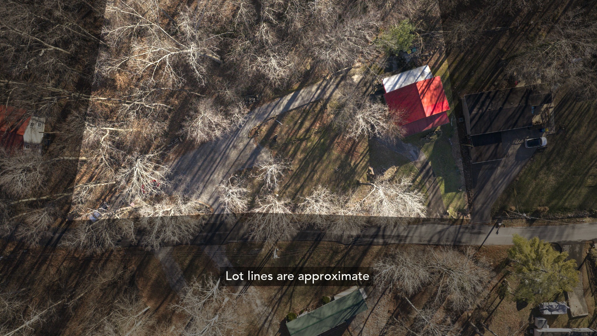 419 Jackie Dukes Road Lewisburg, KY 42256 - Photo 46 of 55 a view of street from a tree