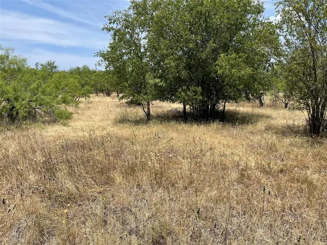 $25,000 | Tbd Cr 316 Road, Breckenridge, TX 76424