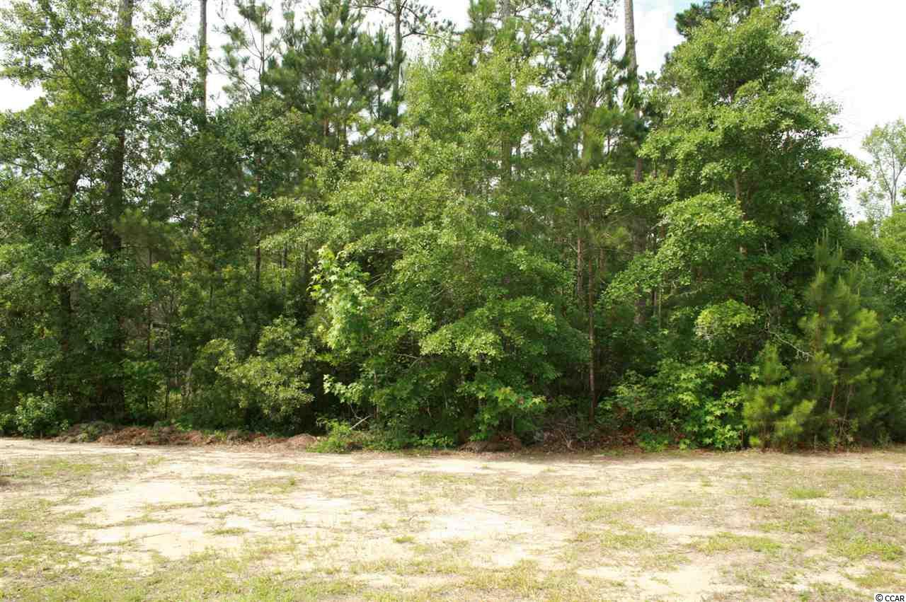 Tbd Fieldstone Court Murrells Inlet, SC 29576 - Photo 1 of 12 Gallery Image 1