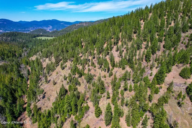 $245,000 | Nna East Canary Creek Road, Cataldo, ID 83810