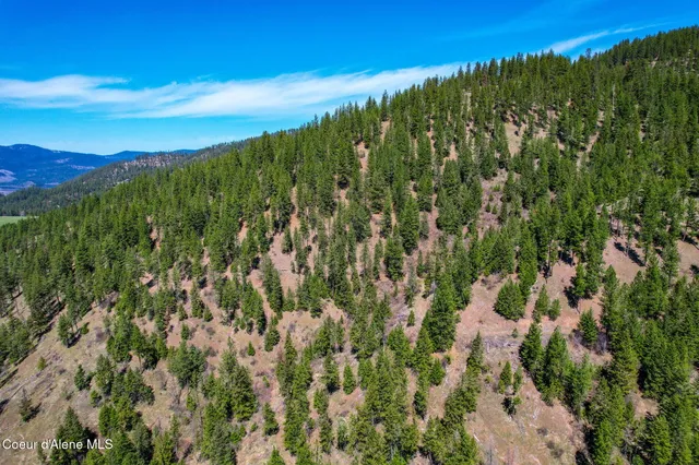 $245,000 | Nna East Canary Creek Road, Cataldo, ID 83810