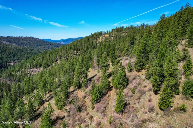$245,000 | Nna East Canary Creek Road, Cataldo, ID 83810