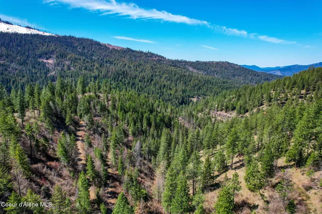 $245,000 | Nna East Canary Creek Road, Cataldo, ID 83810