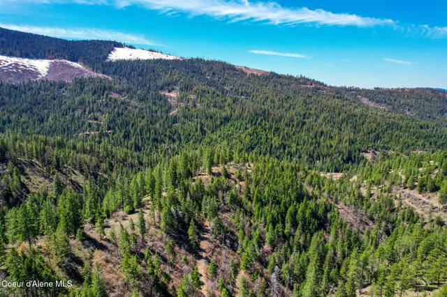 $245,000 | Nna East Canary Creek Road, Cataldo, ID 83810