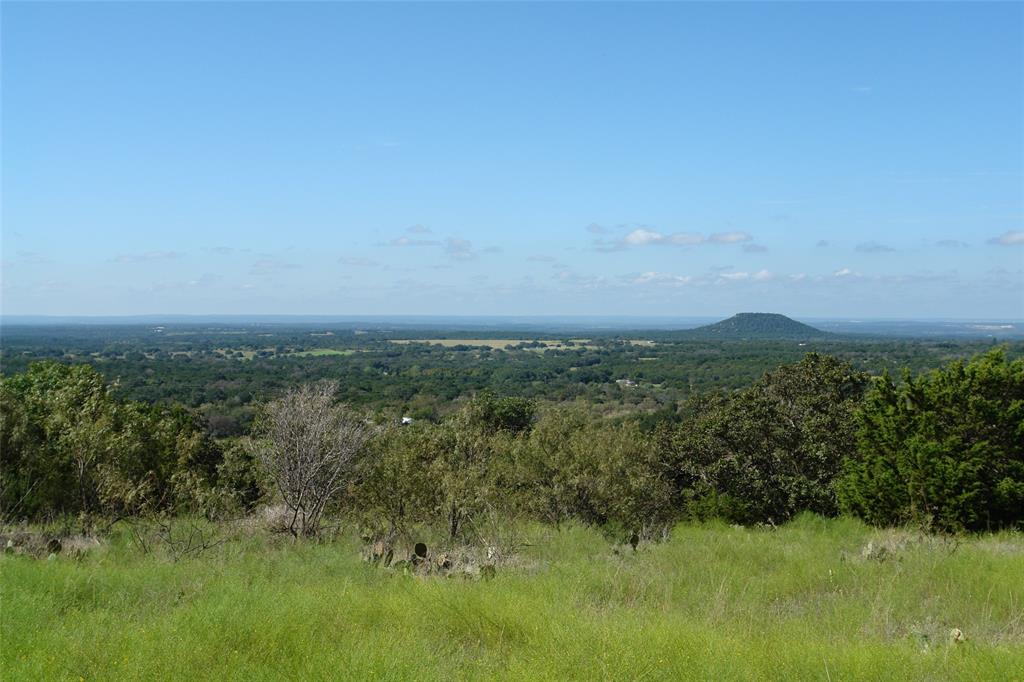 131 County Road 317 Goldthwaite, TX 76844 - Photo 15 of 39 a view of a green field with plants in it