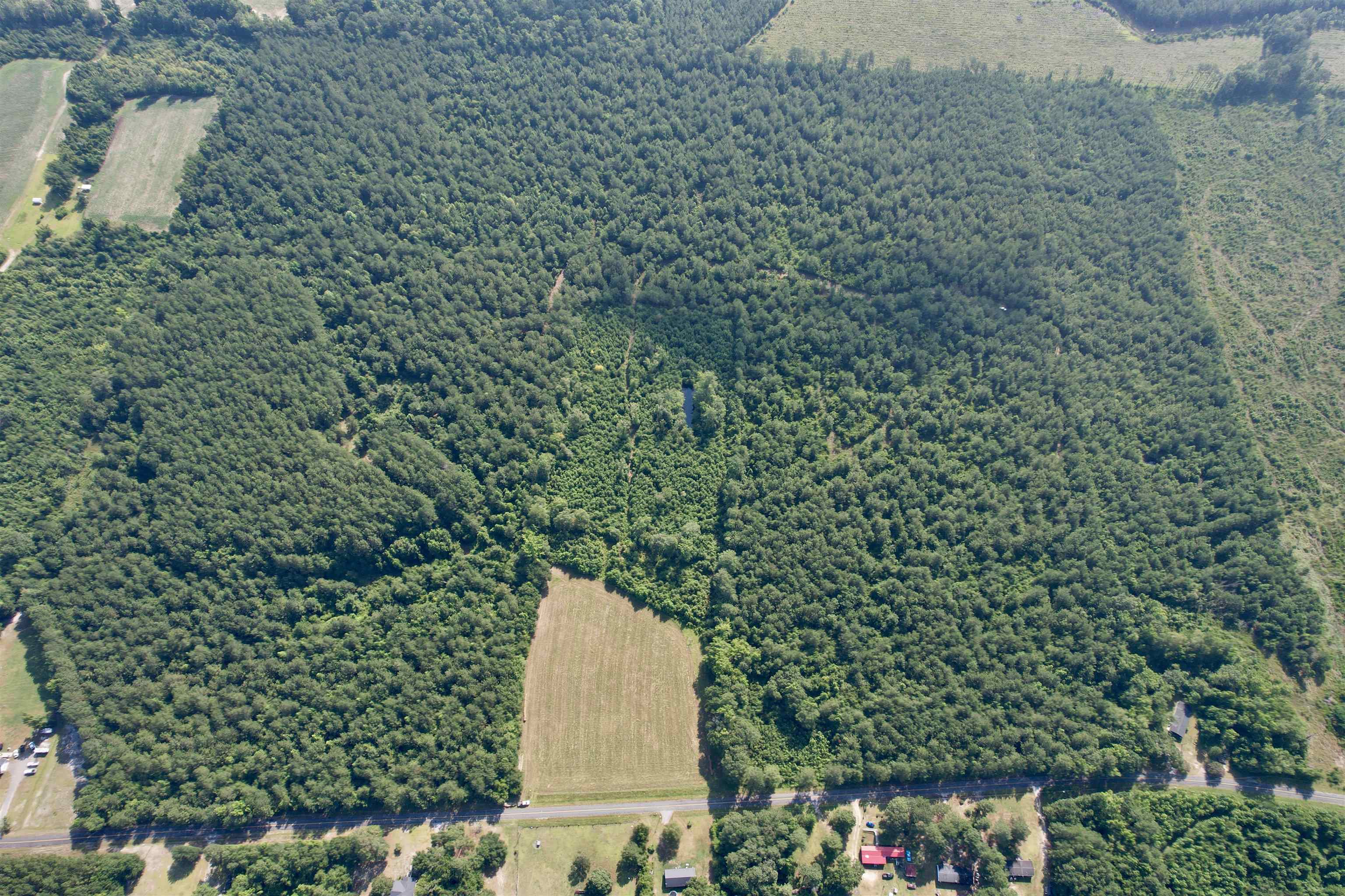 101.49-acres - Epps Road New Zion, SC 29111 - Photo 13 of 24