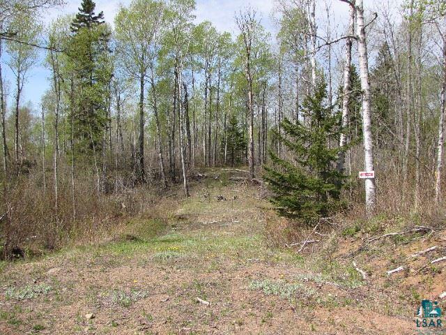 Xxx Gauthier Road Grand Marais, MN 55604 - Photo 1 of 5