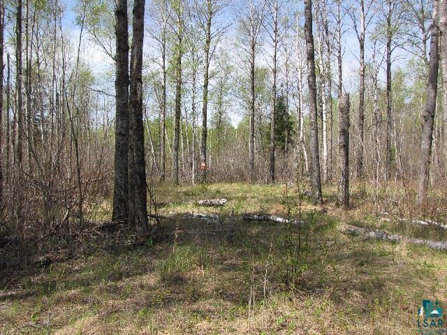 Xxx Gauthier Road Grand Marais, MN 55604 - Photo 3 of 5