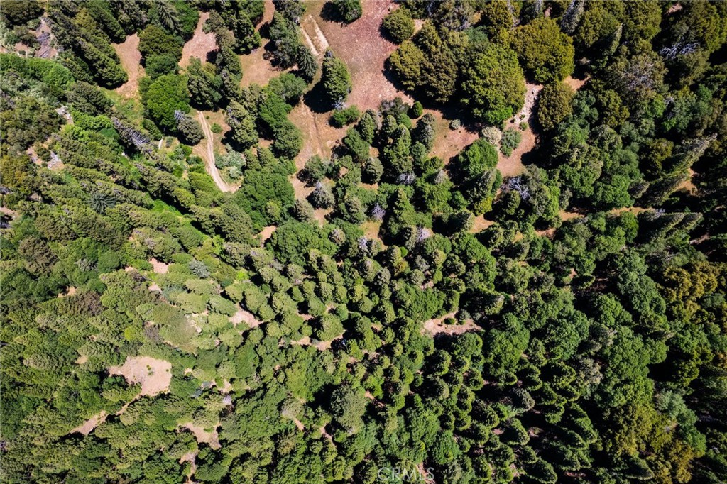 0 Mojave Road Cedarpines Park, CA 92322 - Photo 29 of 41