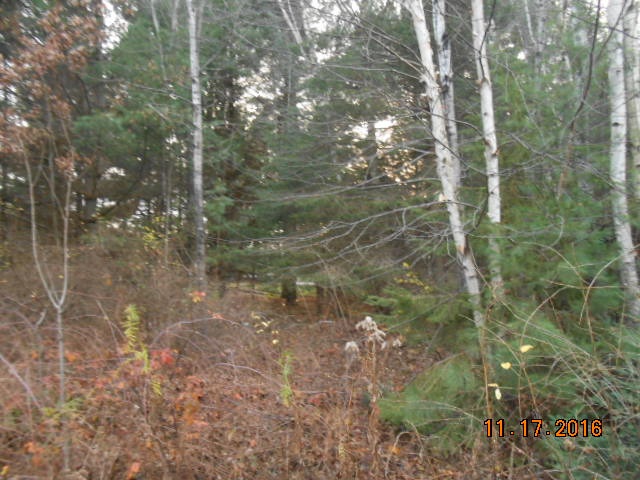 0 County Rd K Elcho, WI 54428 - Photo 1 of 1