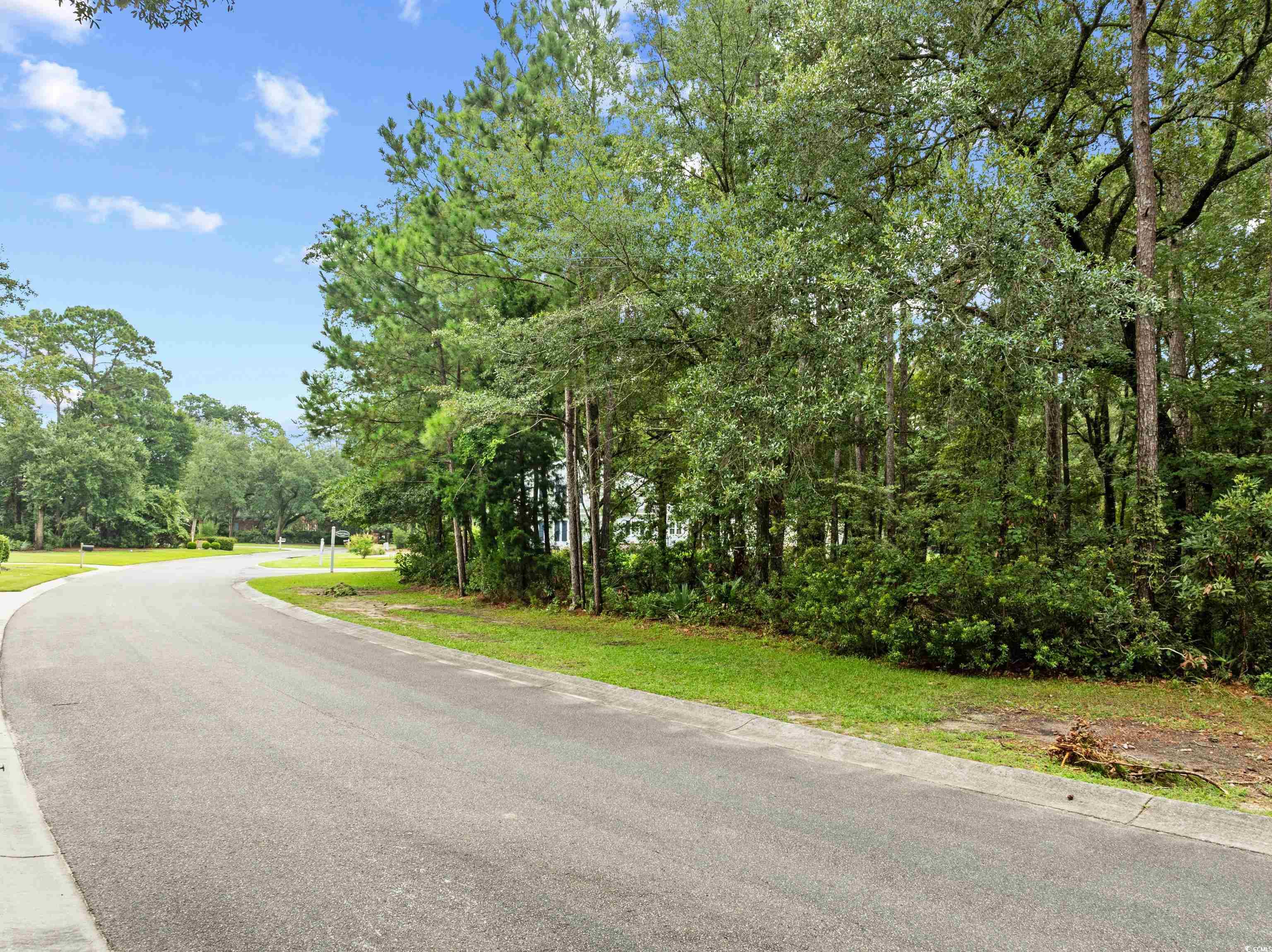 73 Lantana Circle Georgetown, SC 29440 - Photo 8 of 15