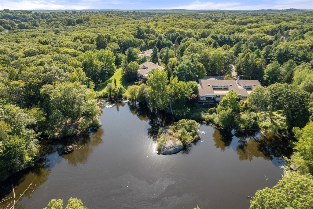 214 Allandale Road, Unit B Boston, MA 02467 - Photo 34 of 35 a view of lake with green space
