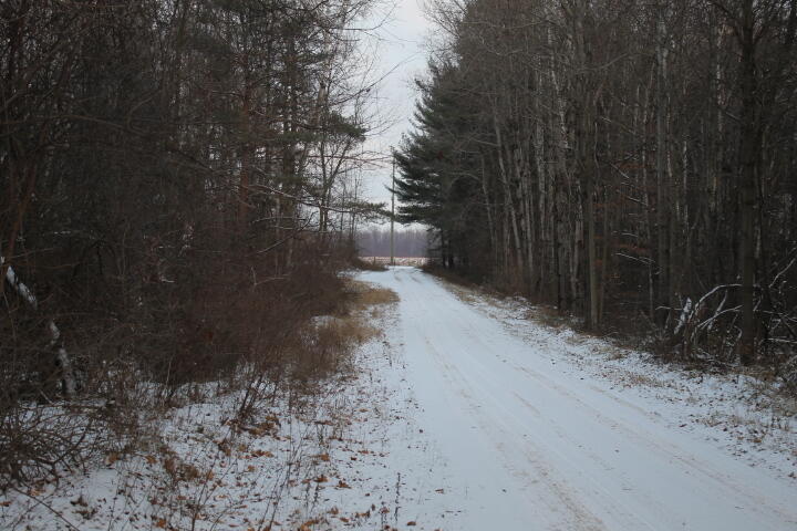 4695 Wheeler Road Snover, MI 48472 - Photo 3 of 43 sn1