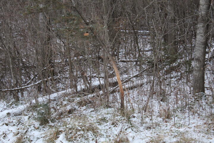 4695 Wheeler Road Snover, MI 48472 - Photo 4 of 43 sn3
