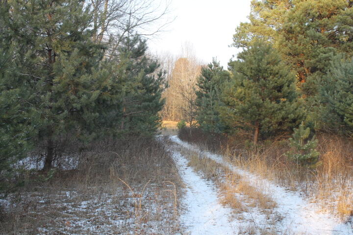 4695 Wheeler Road Snover, MI 48472 - Photo 5 of 43 sn4