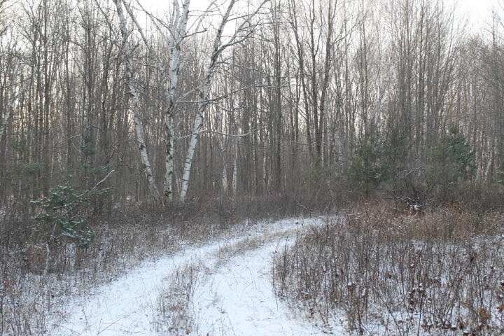 4695 Wheeler Road Snover, MI 48472 - Photo 8 of 43 sn7